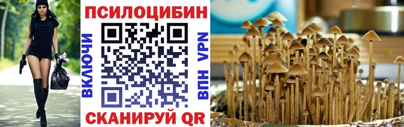 Псилоцибиновые грибы Magic Shrooms  Бодайбо 